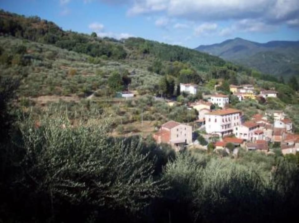 The village