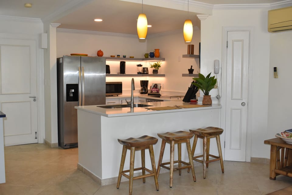Comprehensively fitted kitchen, with fridge and icemaker
