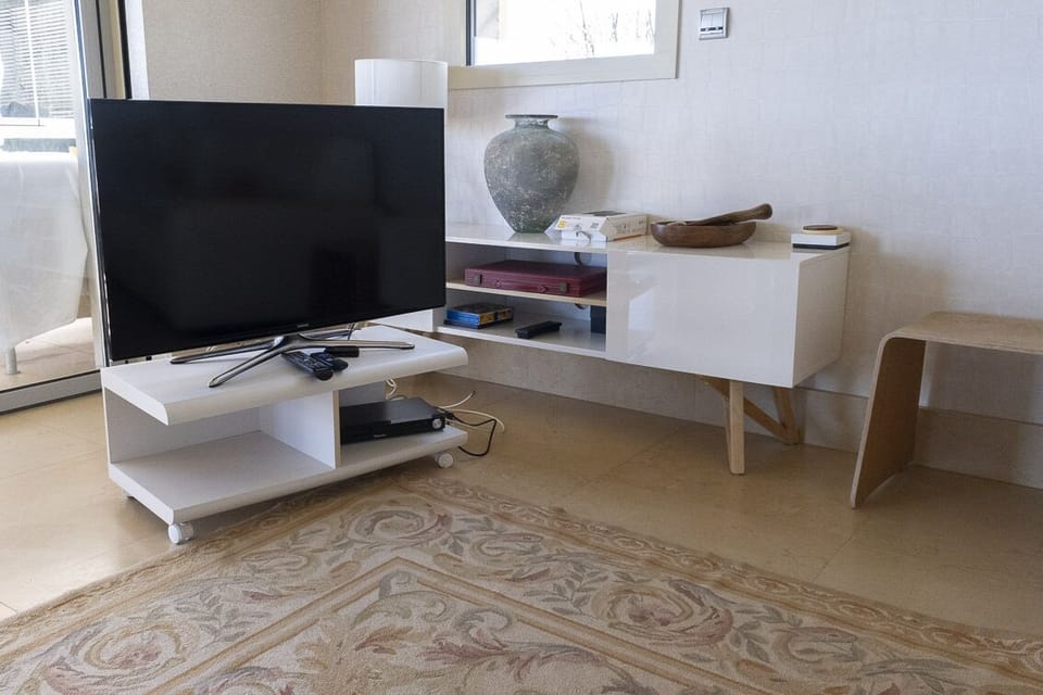 On-demand TV (Netflix, Amazon, BBC iplayer etc) plus Wii console and DVD player