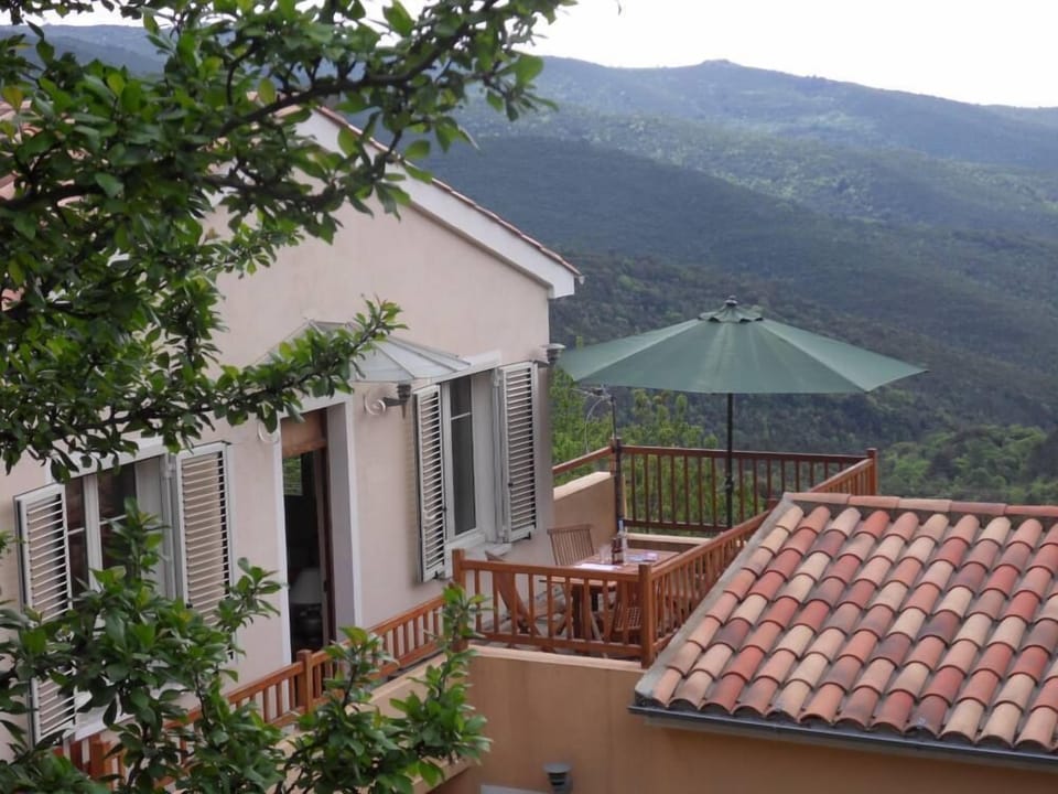Overview
