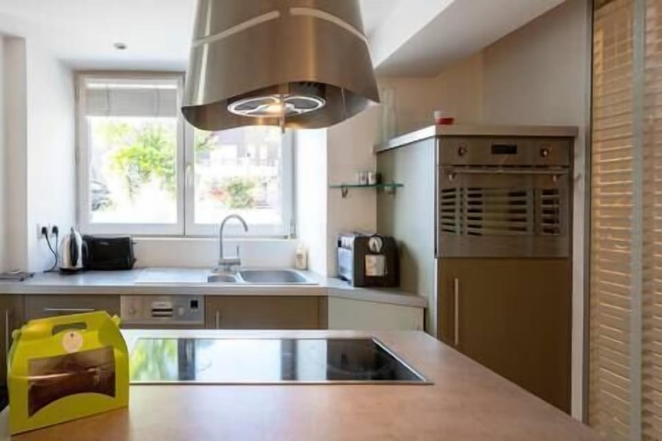 Apartment 1 kitchen island