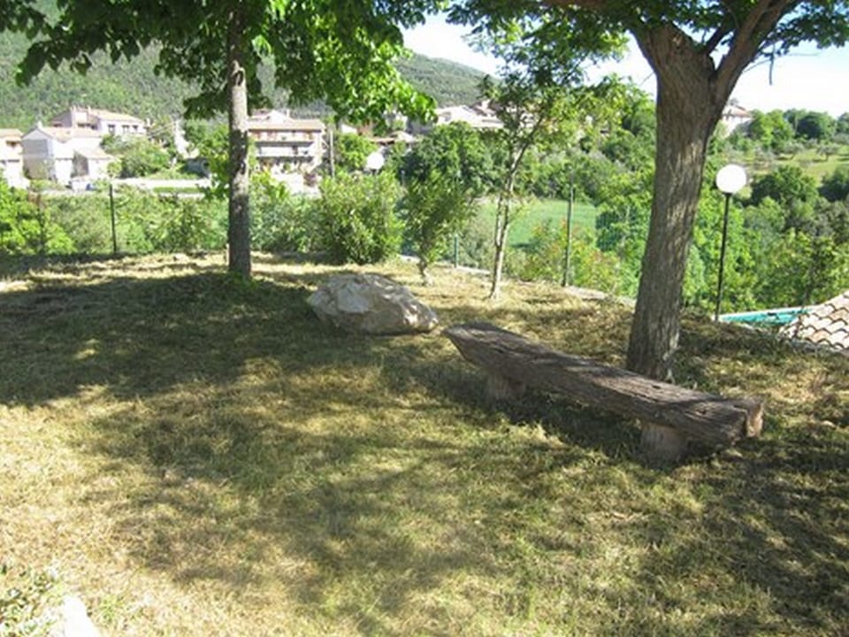 The garden