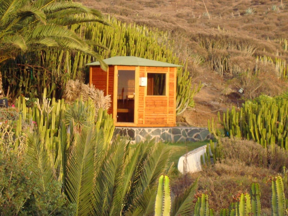 Sauna and surround