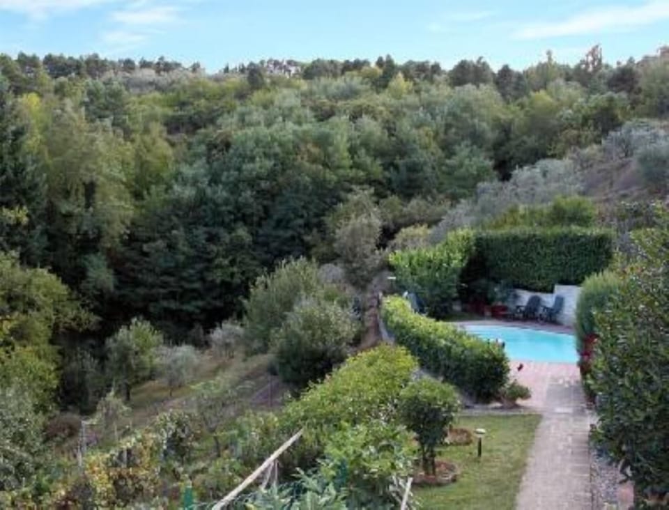 Garden, Park