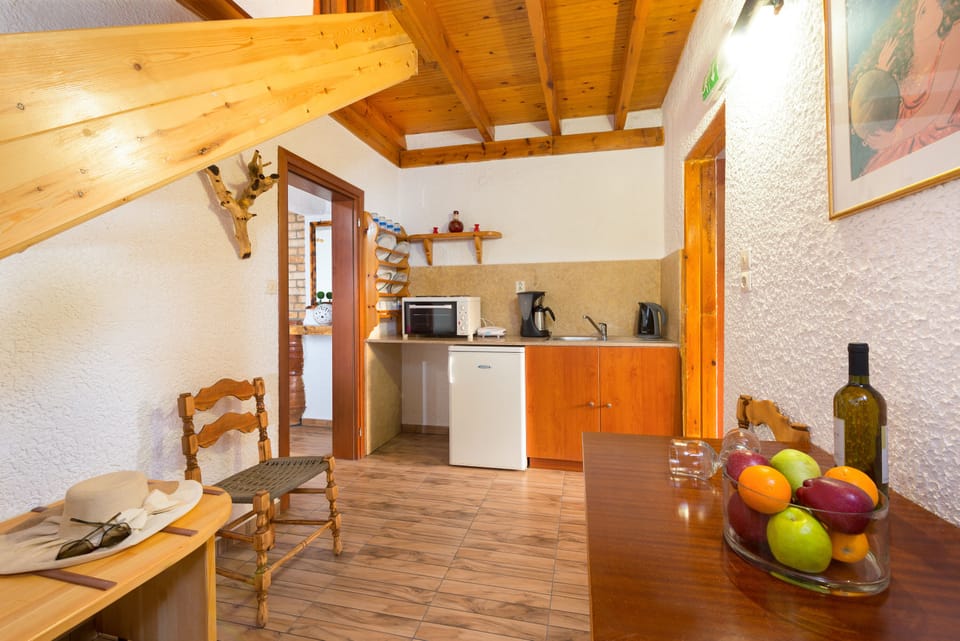 kitchenette with cooking facilities