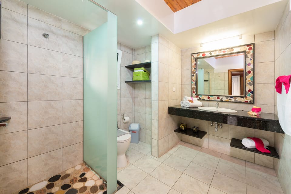Shower and toilet