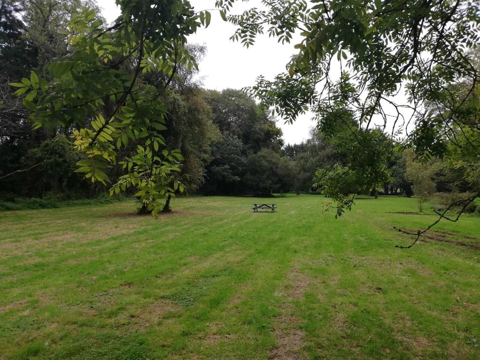 Socially distanced dining