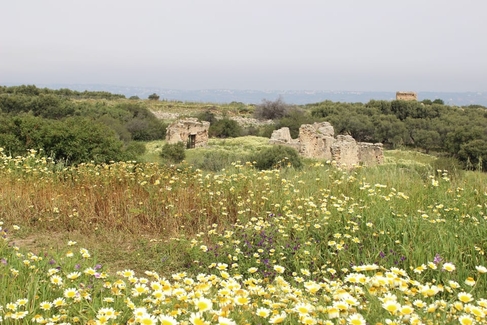 Ancient ruins and wildflowers at Aptera
