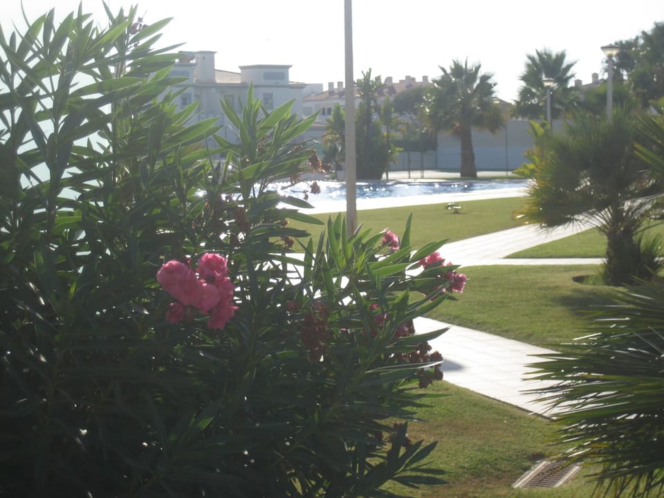 Garden view from bedroom 2 terrace