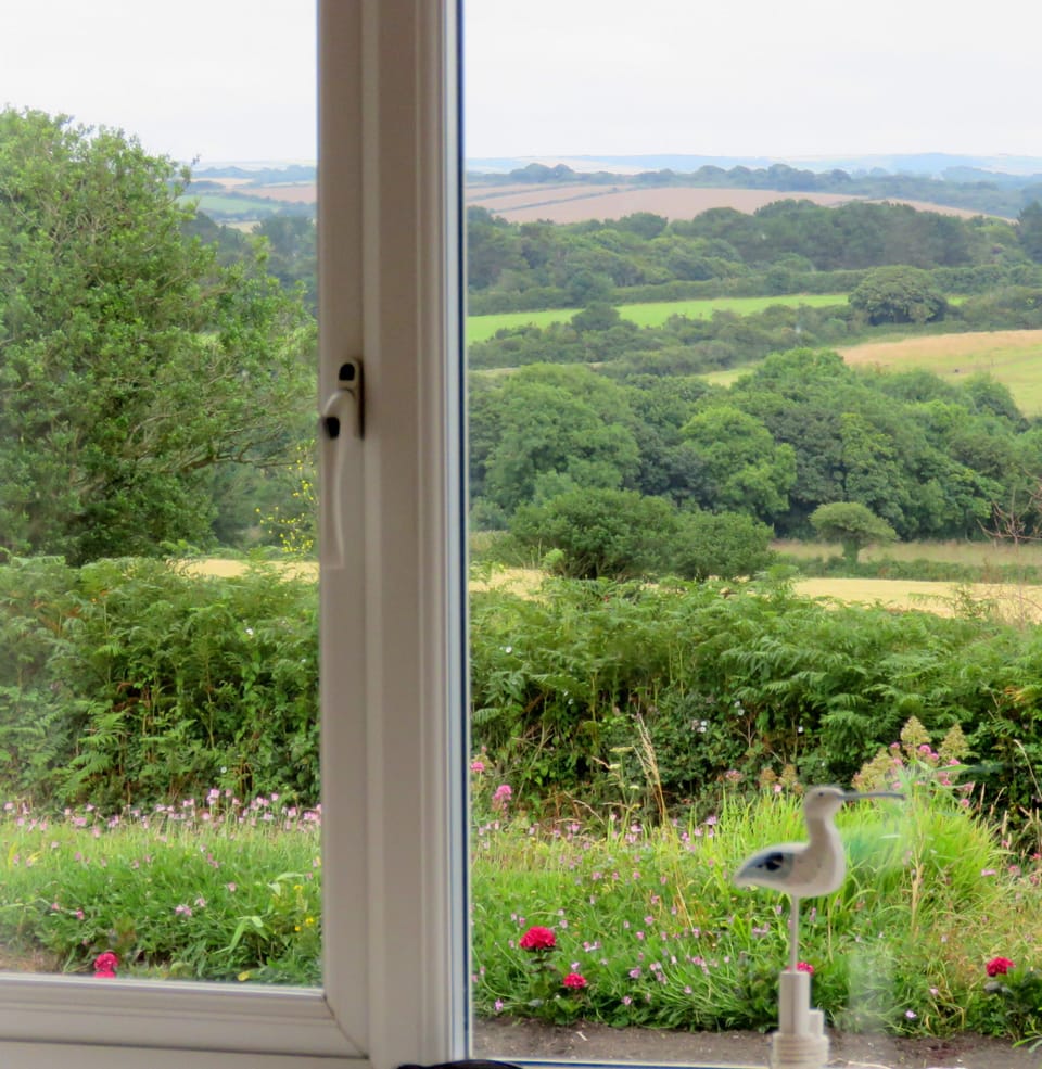 View from your bed, literally!