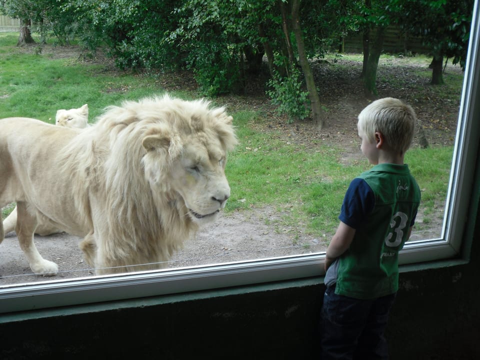 The zoo 5 minutes from us. well cared for animals, conservationist theme.