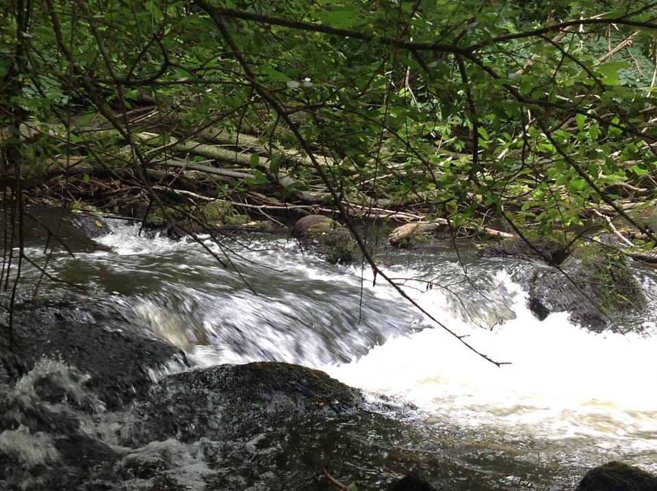 The cascades near the local village, 10 minutes from us. 