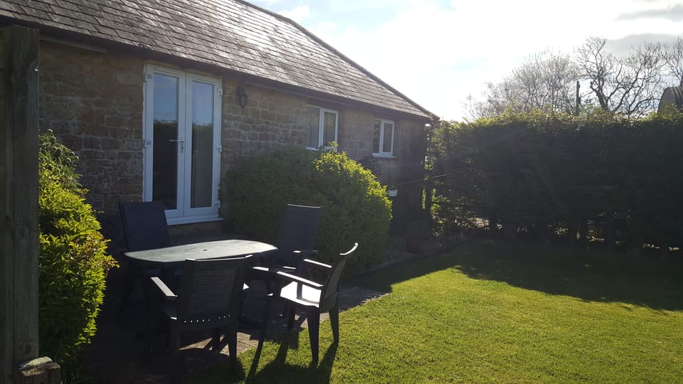 Patio area (Early morning)