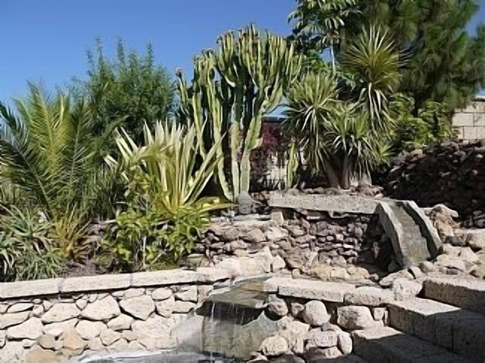 waterfall and garden
