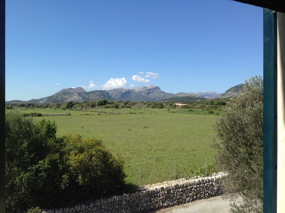 From the window
