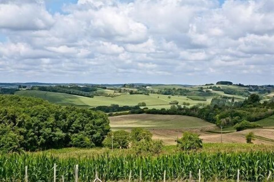 Huge panoramic skies!
