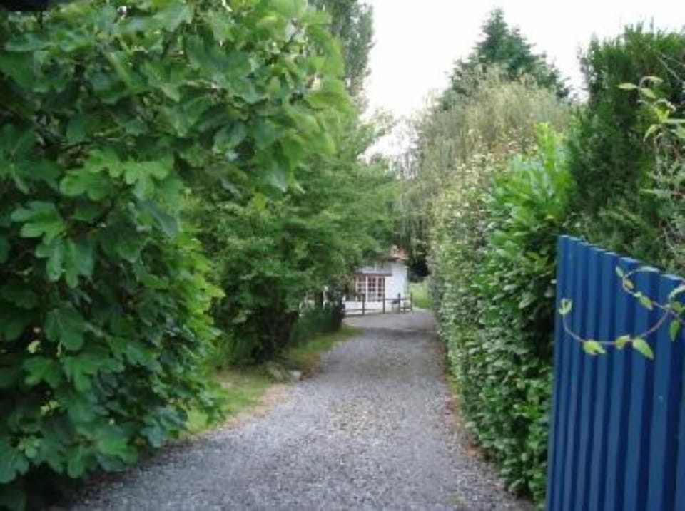 Garden, Park