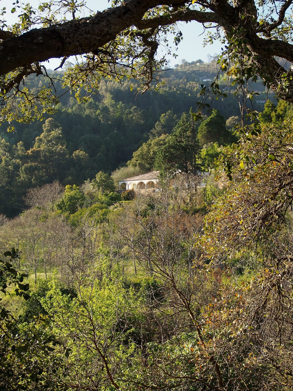 The house seen at the end of a walk,