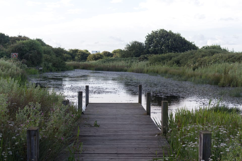 Lower lake, one of two on the site as well as a wild meadow