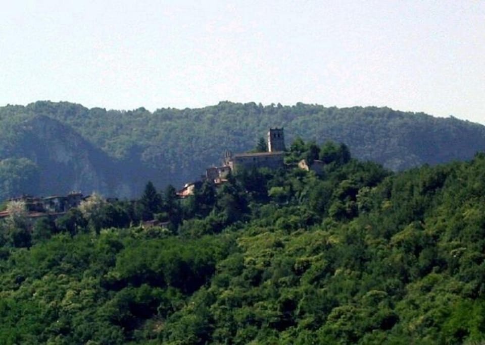 View of Hamlet 