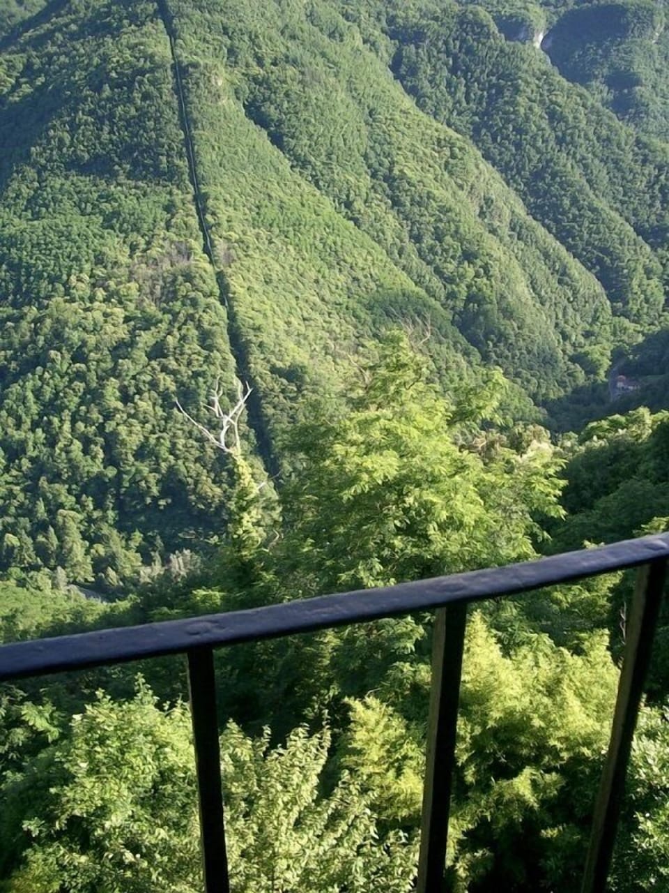 View from Bedroom
