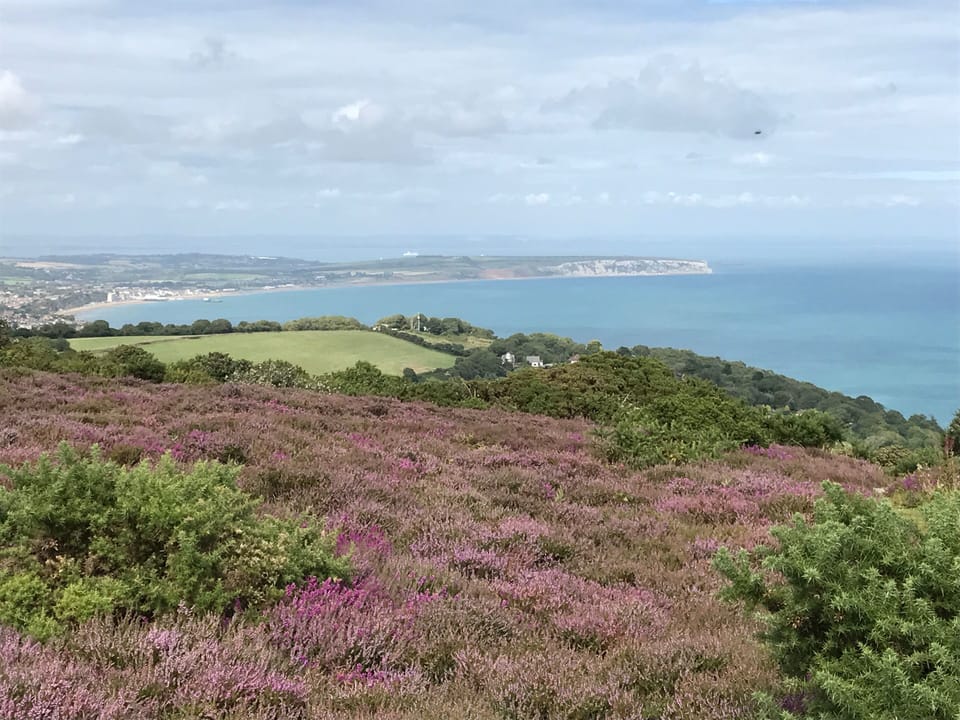 Amazing views from Ventnor downs