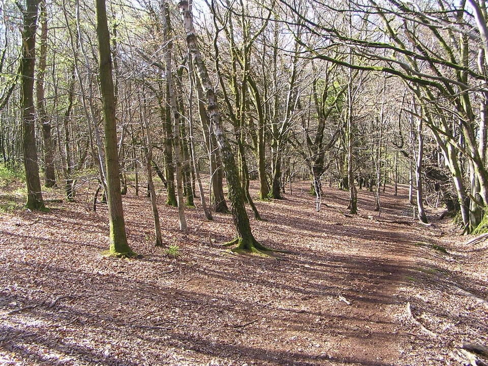 West hill local scenery 