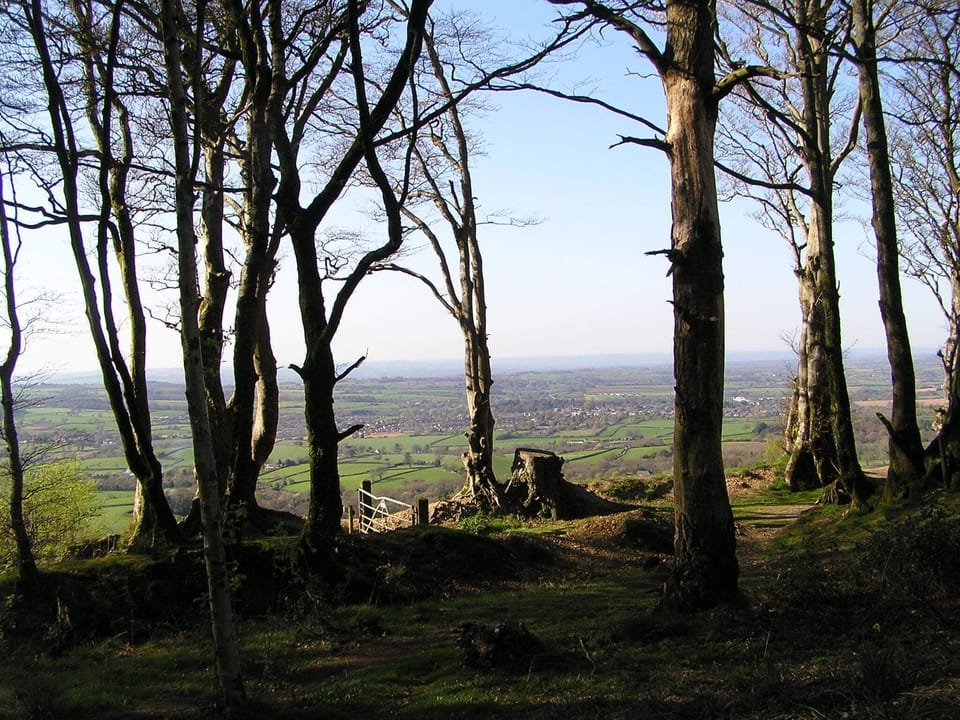 West hill towards Ottery St Mary. Fantastic walks and views.