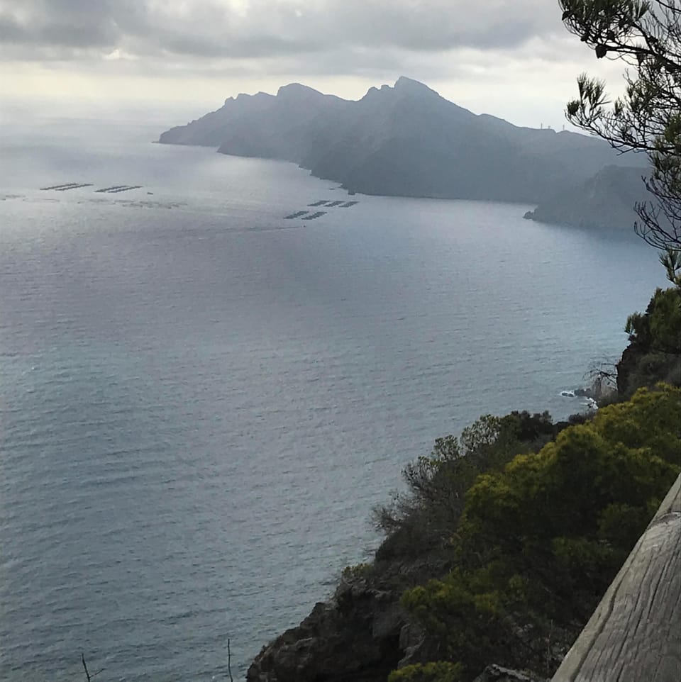 Views from our walk up to the guns.