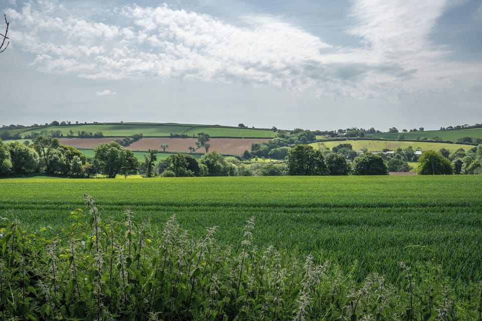 View from hawthorn patio
