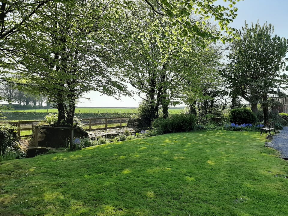 view of the front lawn looking over the pond. 