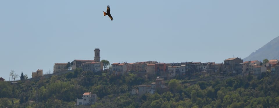 A Red kite fly's by Palombaro across the valley from your sun terrace.