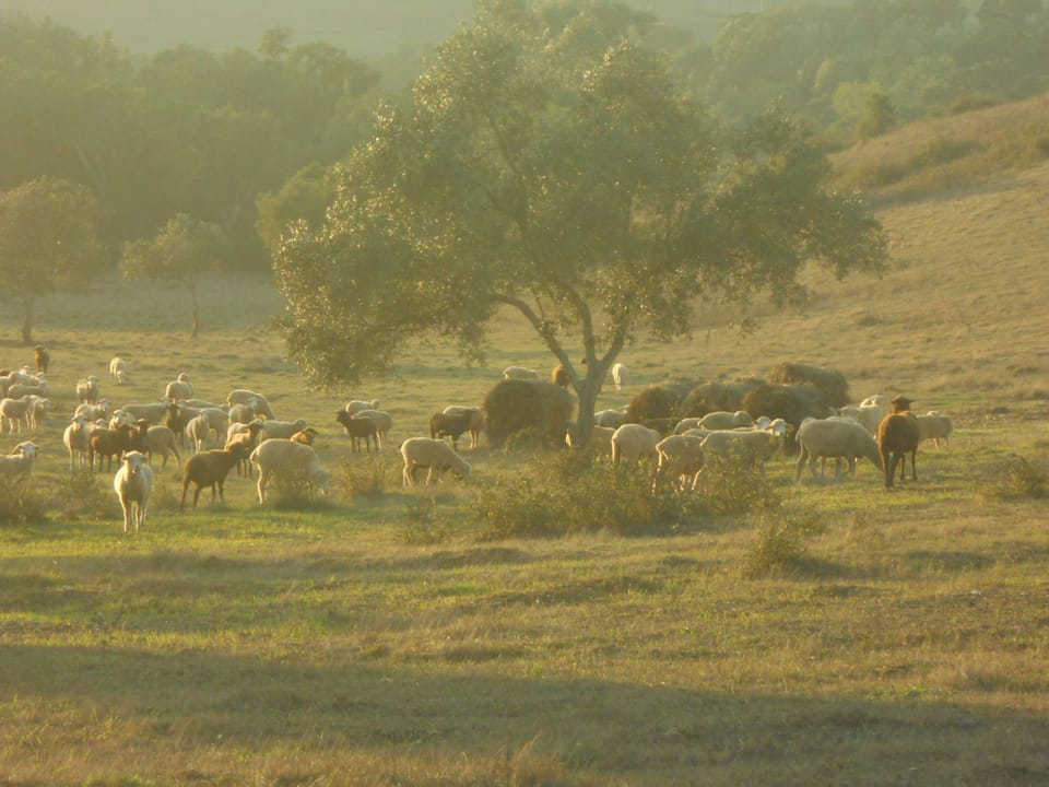 Neighbours!