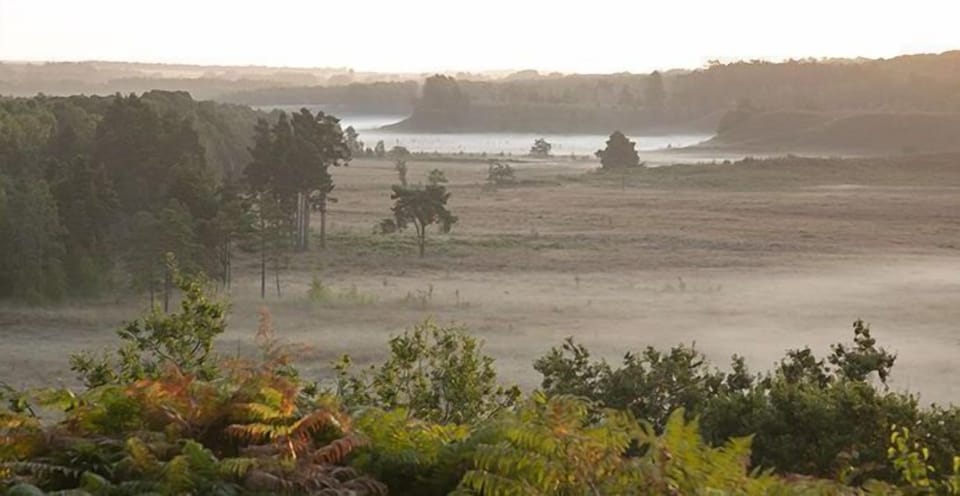 Mist over the countryside at Dersingham