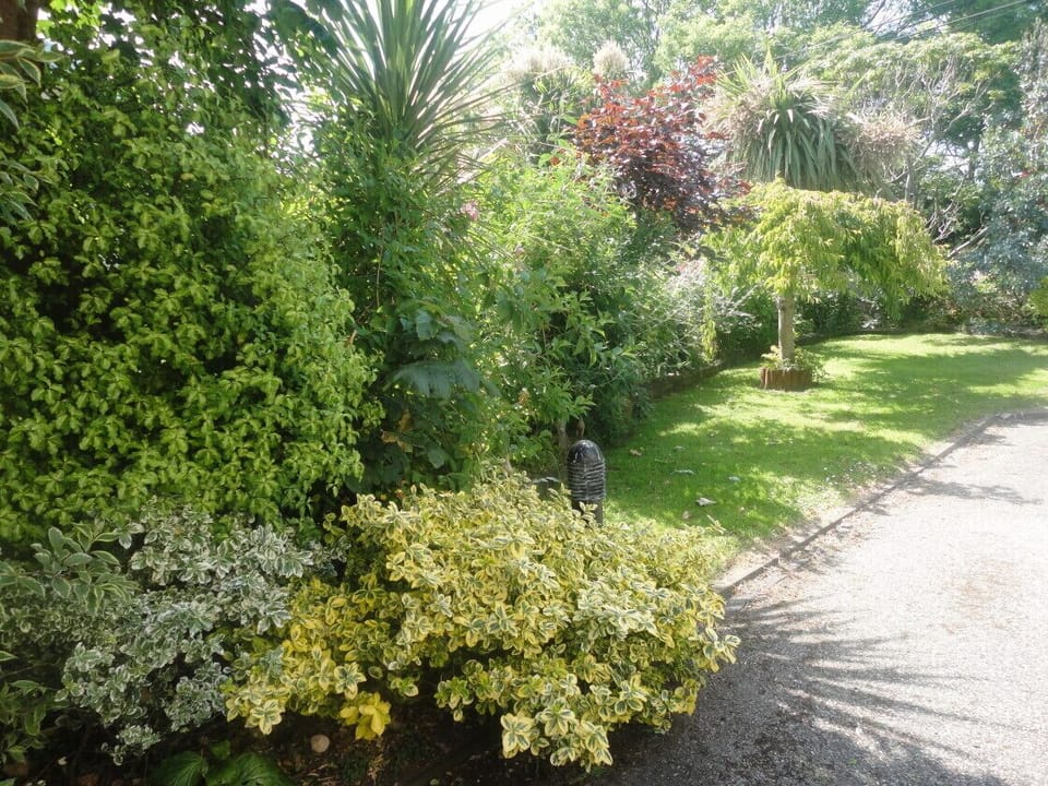 Front Garden