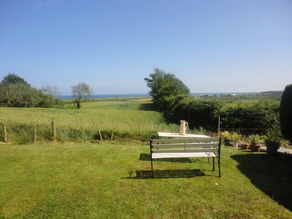 View from the back garden