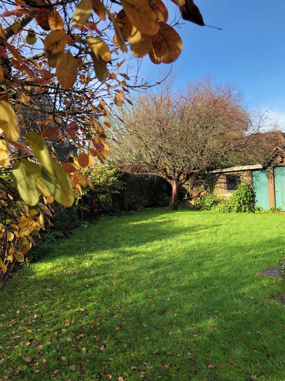 Outside, across the side and back of the cottage