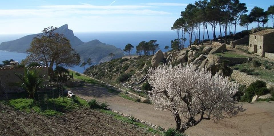 Dragonera island from Sa Trapa/S'Aracco walk, for the more adventurous!