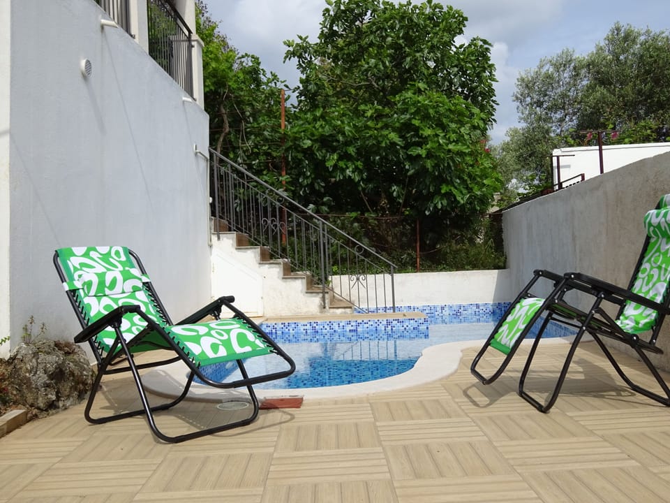 Private swimming pool - Villa in Zabrdje