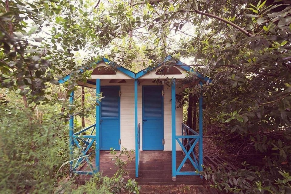 Garden, Park