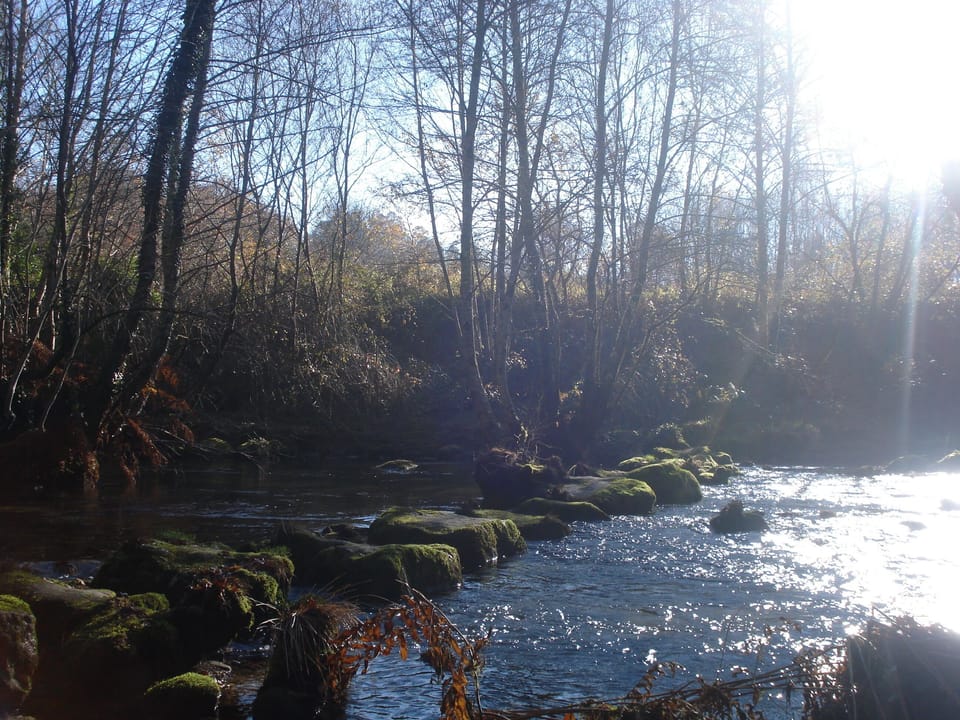Stepping stones across local river