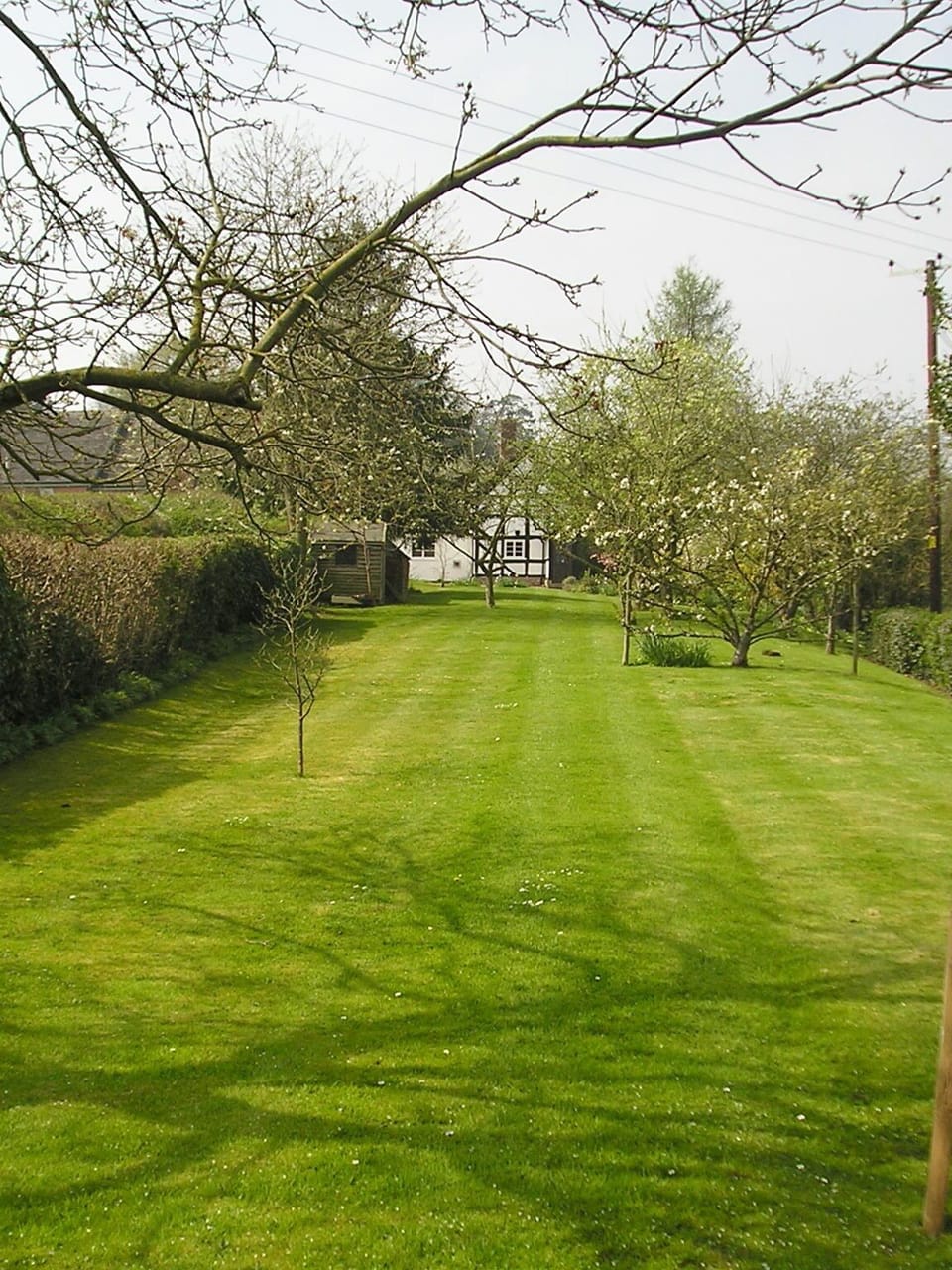 Cottage garden