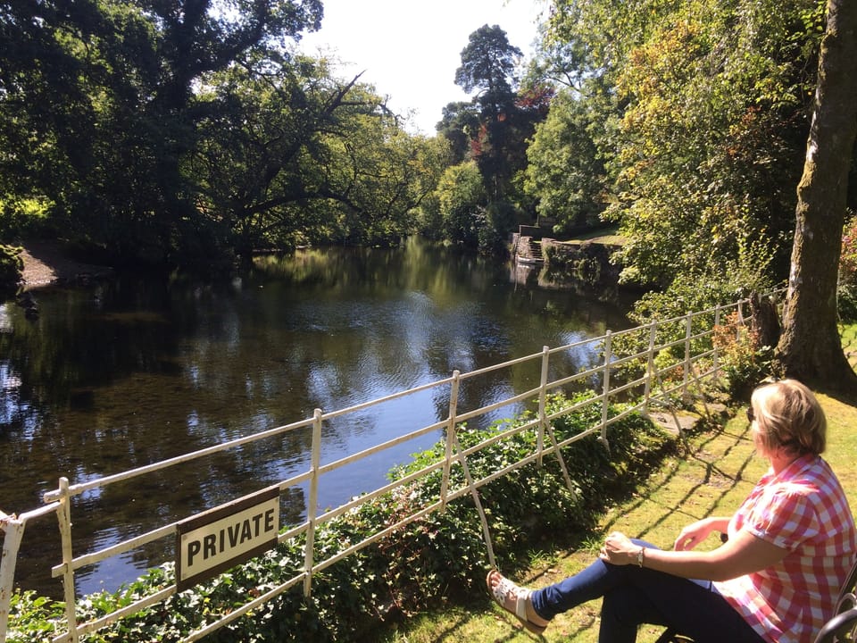 View from the shared garden by the river 