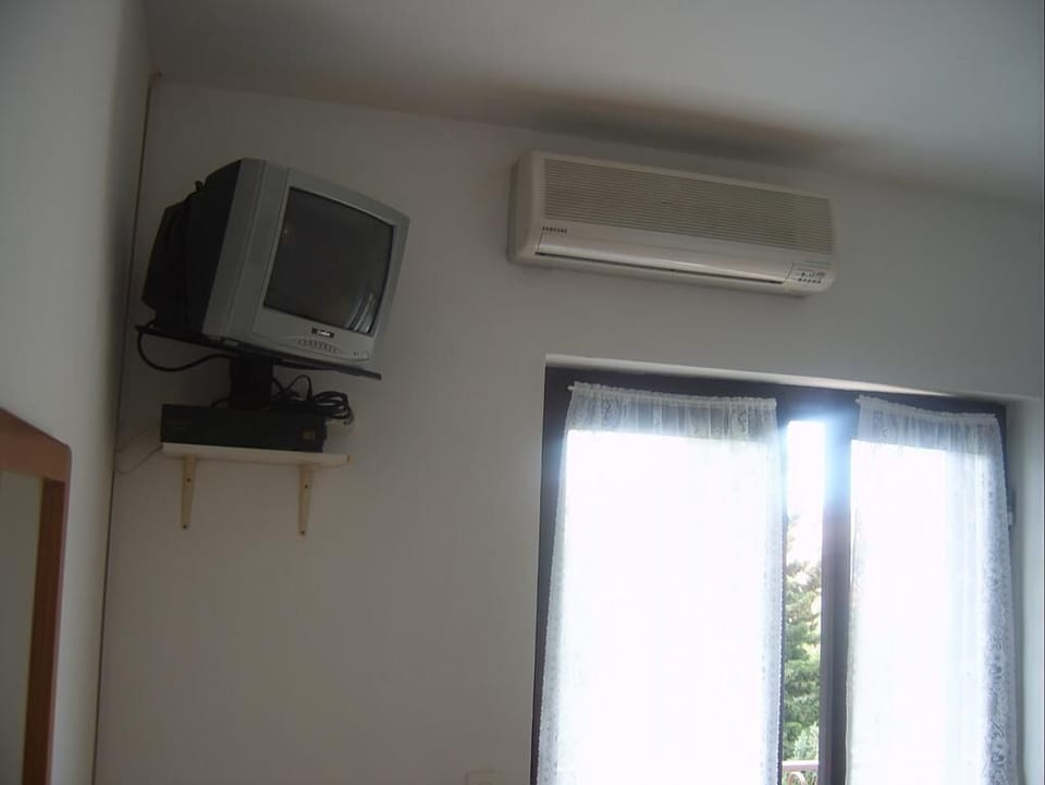Television
