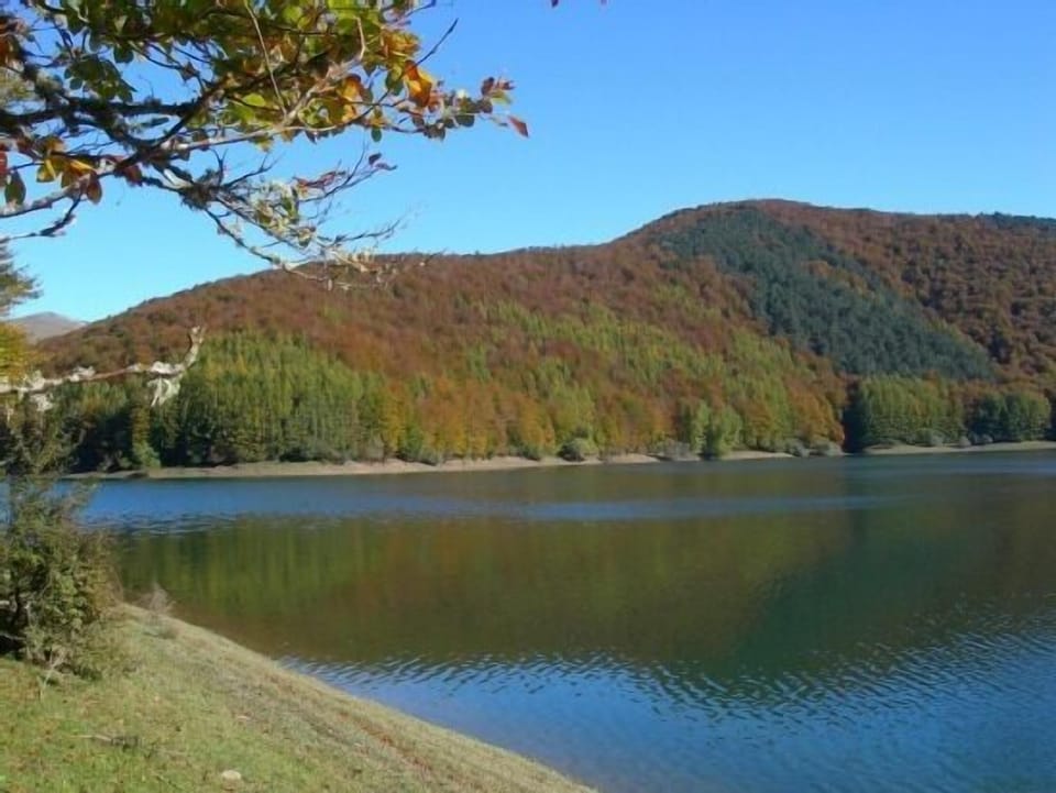 Lake