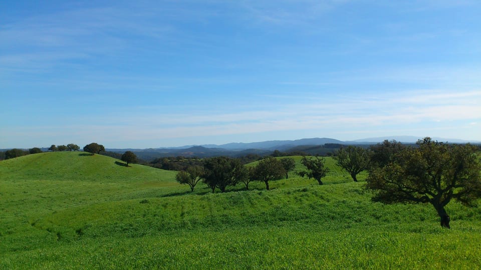 Spring time in ALENTEJO (II)