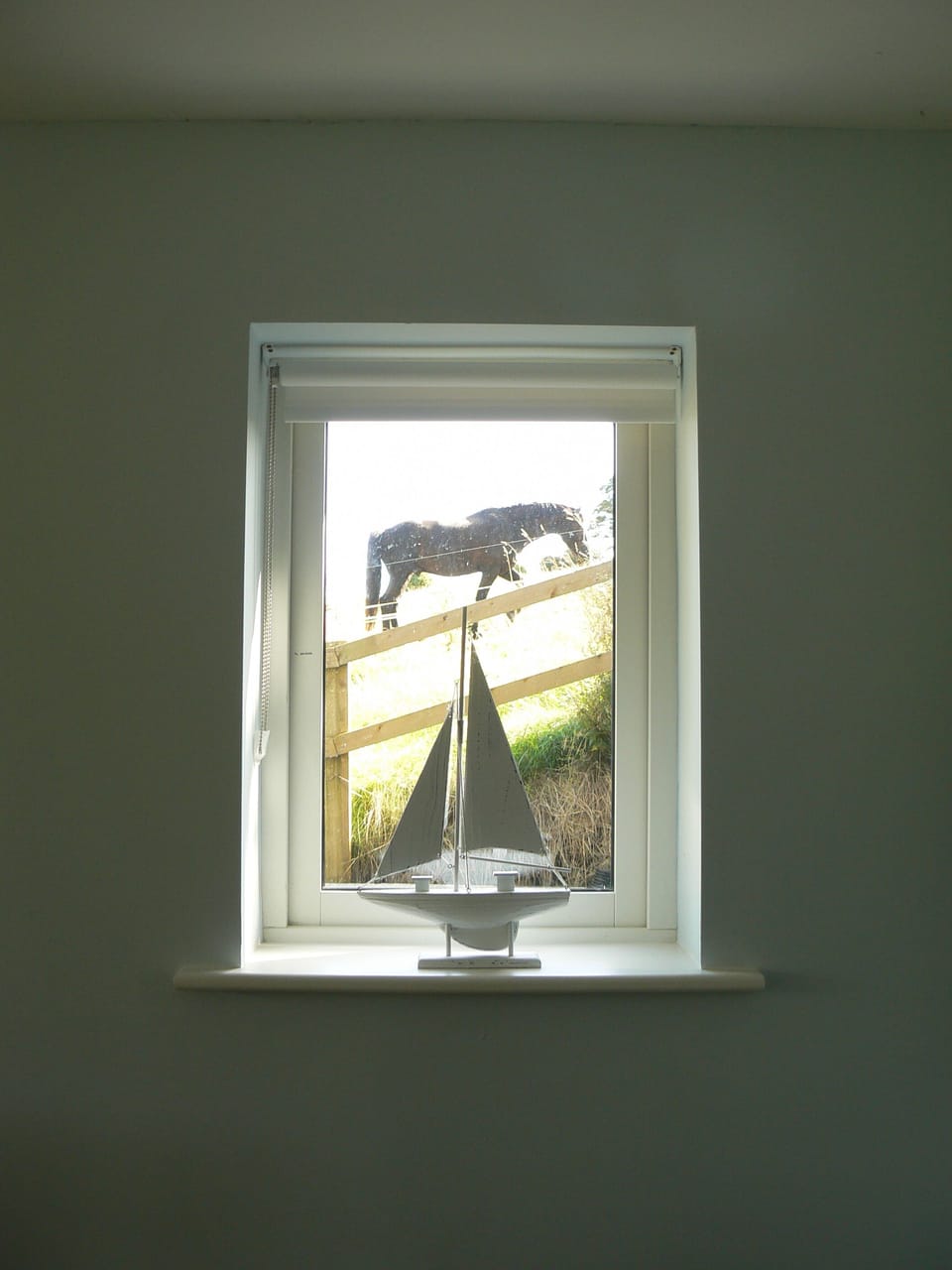 Every room has a view...