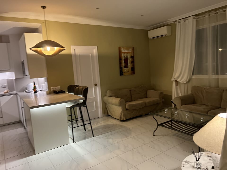 view from "front" door into open living area