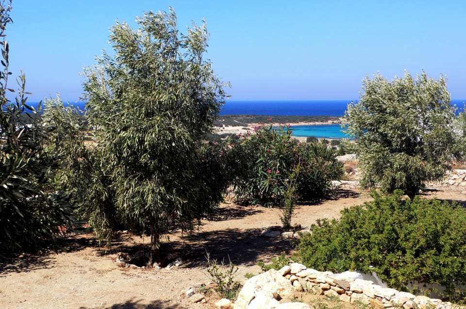 view from guesthouse
