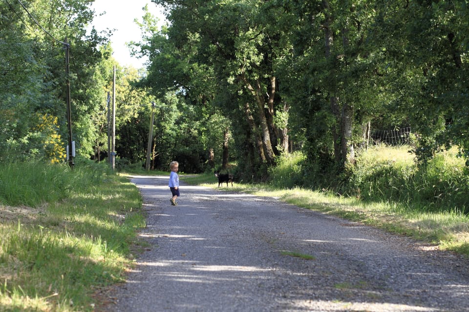 roads are very quiet, vehicles are rare